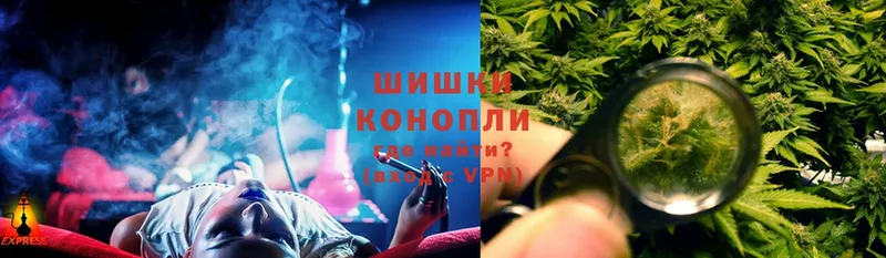 Шишки марихуана OG Kush  МЕГА tor  это телеграм  Сертолово 